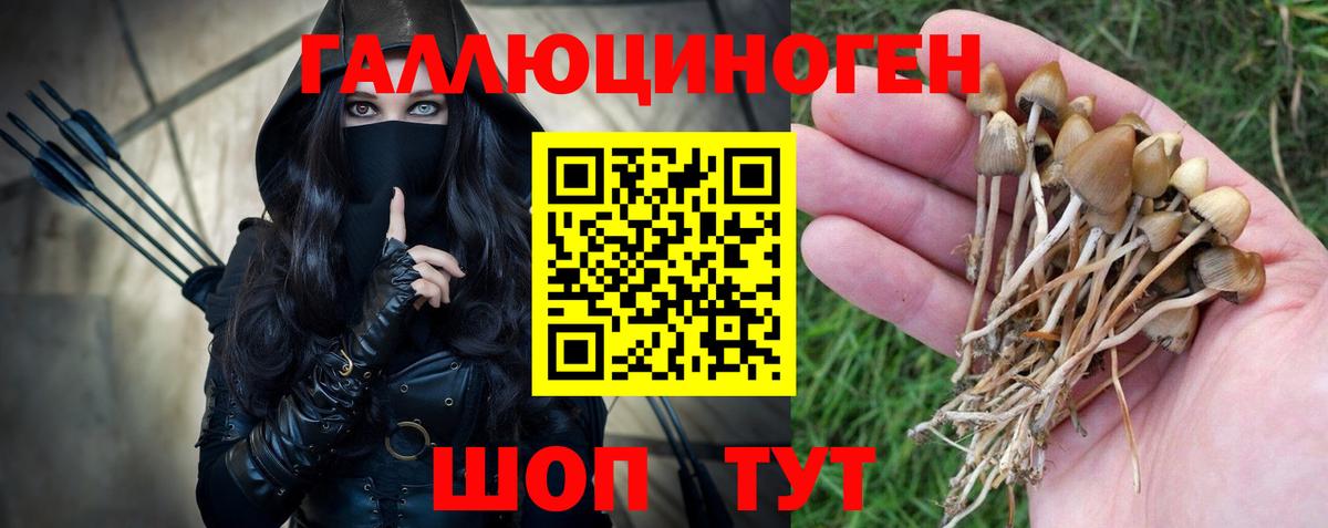 Будённовск  Галлюциногенные грибы Magic Shrooms  Вход с VPN  купить наркоту  Галлюциногенные грибы Psilocybe 