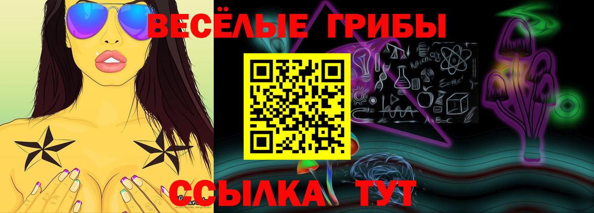 Галлюциногенные грибы мухоморы Будённовск