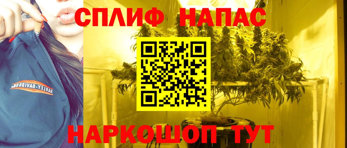 Бошки марихуана Ganja  Каннабис план  Будённовск  Вход с VPN 